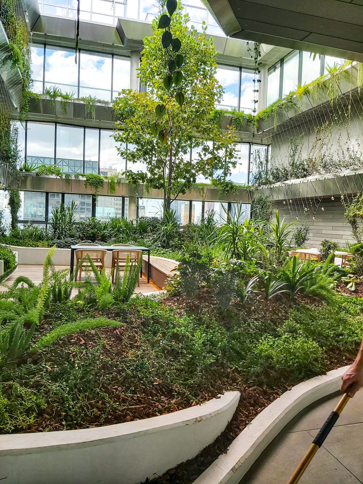 Green Facades